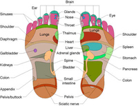 Chinese Reflexology